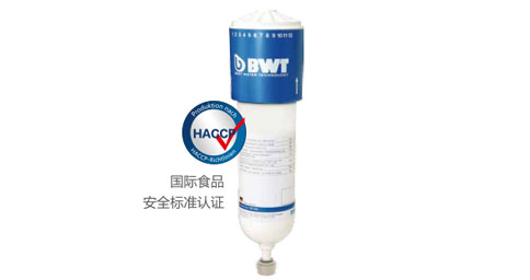 长寿好的大菠萝网站两联供安装