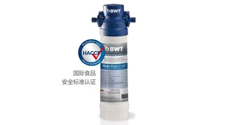 BWT Woda-Pure s超能系列大菠萝网站视频器