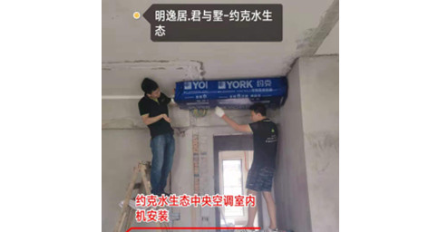 约克大菠萝网站两联供